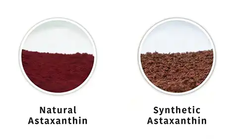 Which is Better:Natural vs Synthetic Astaxanthin Powder?
